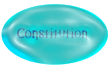 Constitution